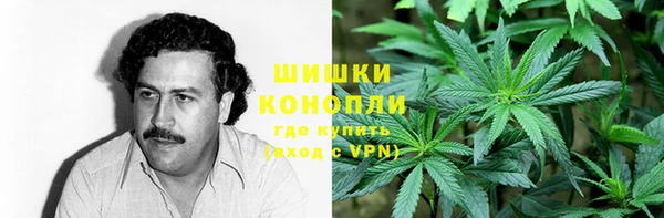 индика Михайловск