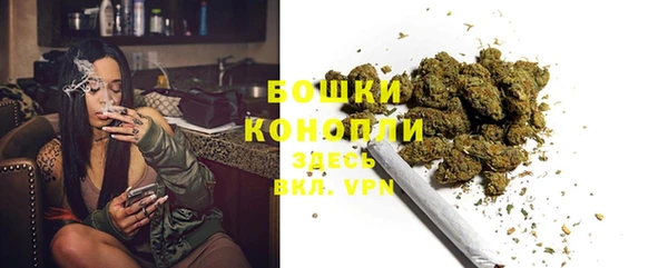 индика Михайловск