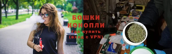 индика Михайловск
