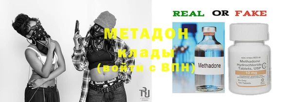 индика Михайловск
