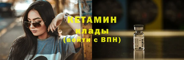 индика Михайловск