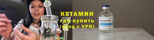 индика Михайловск