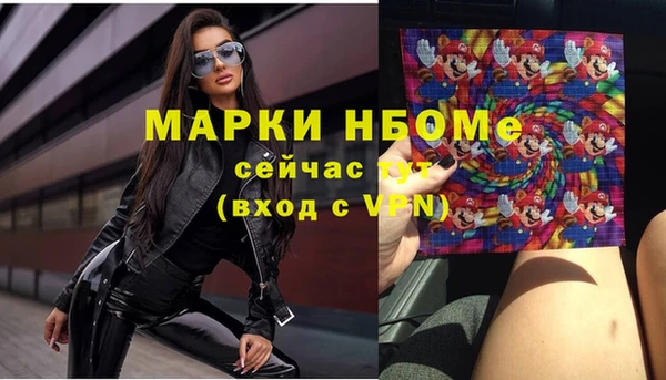 индика Михайловск
