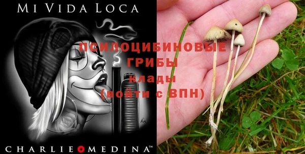 мефедрон мука Михайловка