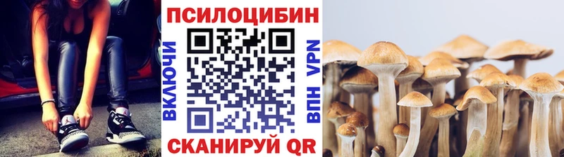 Галлюциногенные грибы мицелий  Ивангород 
